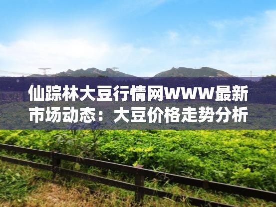 仙踪林大豆行情网WWW最新市场动态：大豆价格走势分析与未来趋势预测