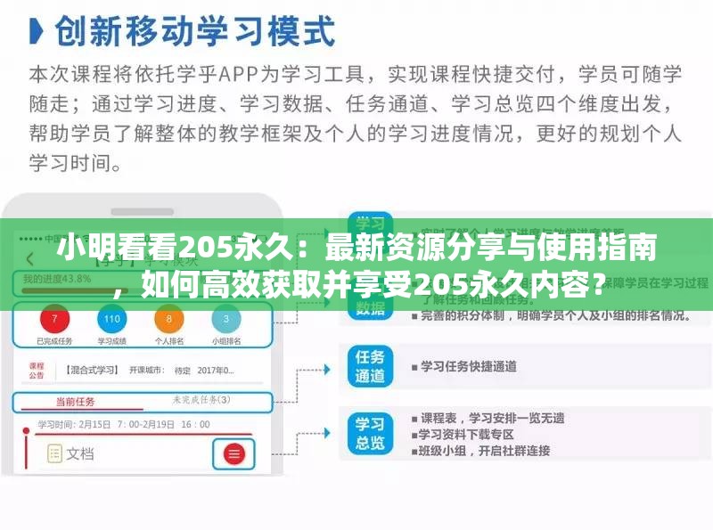 小明看看205永久：最新资源分享与使用指南，如何高效获取并享受205永久内容？