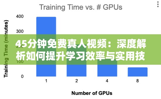 45分钟免费真人视频：深度解析如何提升学习效率与实用技巧分享