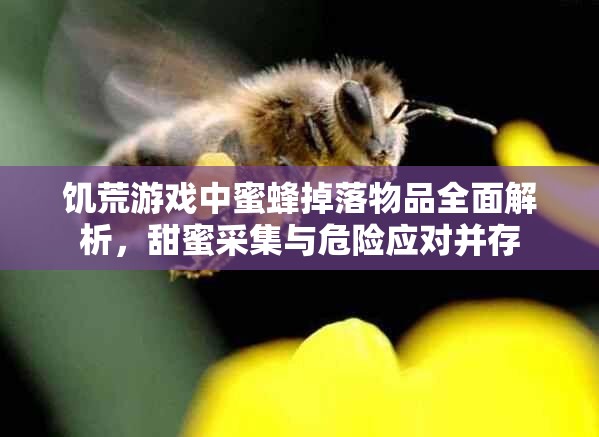 饥荒游戏中蜜蜂掉落物品全面解析，甜蜜采集与危险应对并存