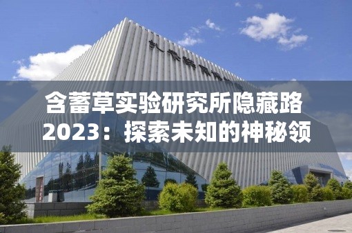 含蓄草实验研究所隐藏路 2023：探索未知的神秘领域