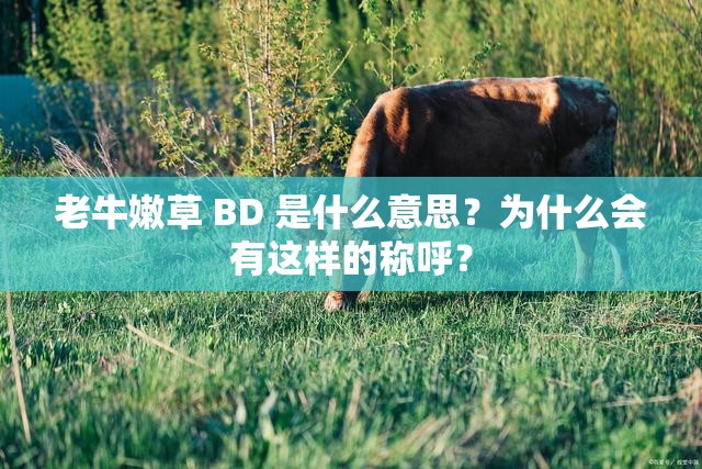 老牛嫩草 BD 是什么意思？为什么会有这样的称呼？