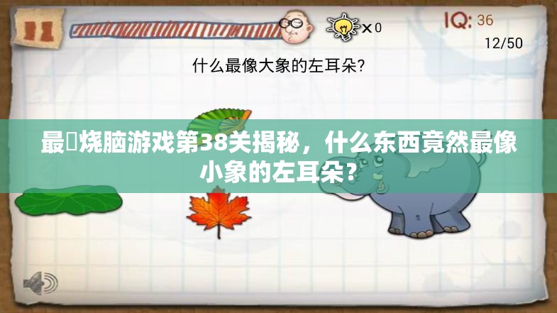 最囧烧脑游戏第38关揭秘，什么东西竟然最像小象的左耳朵？