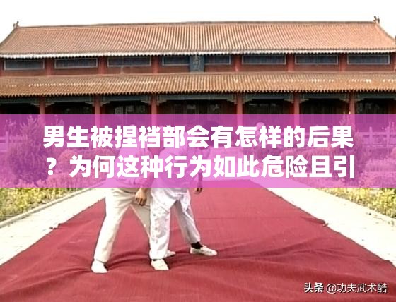 男生被捏裆部会有怎样的后果？为何这种行为如此危险且引人关注？