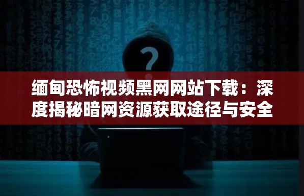 缅甸恐怖视频黑网网站下载：深度揭秘暗网资源获取途径与安全防范指南