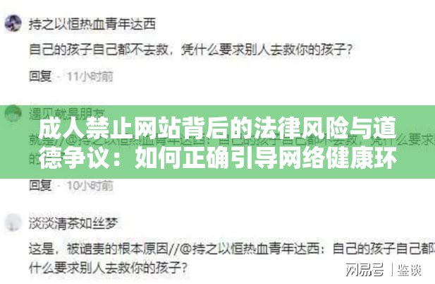 成人禁止网站背后的法律风险与道德争议：如何正确引导网络健康环境？