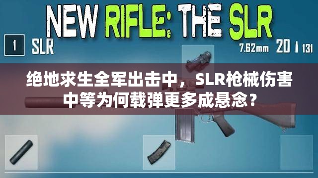 绝地求生全军出击中，SLR枪械伤害中等为何载弹更多成悬念？