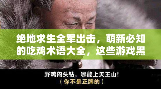 绝地求生全军出击，萌新必知的吃鸡术语大全，这些游戏黑话你了解多少？