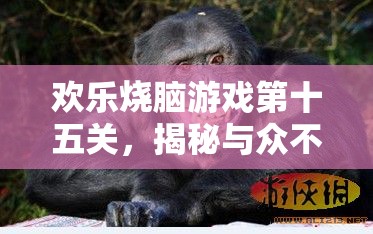 欢乐烧脑游戏第十五关，揭秘与众不同的猩猩究竟隐藏着什么秘密？