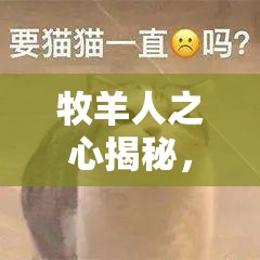 牧羊人之心揭秘，山猫呜拉喵究竟偏爱哪些礼物，你猜得到吗？