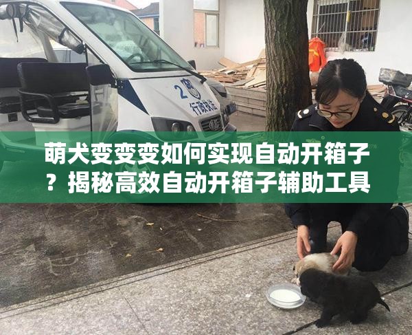 萌犬变变变如何实现自动开箱子？揭秘高效自动开箱子辅助工具！