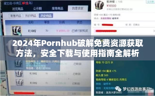 2024年Pornhub破解免费资源获取方法，安全下载与使用指南全解析