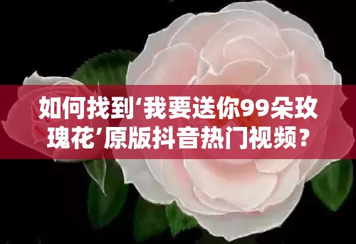 如何找到‘我要送你99朵玫瑰花’原版抖音热门视频？全攻略大揭秘！