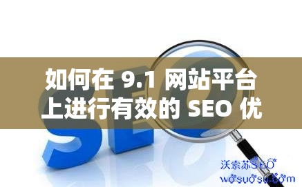 如何在 9.1 网站平台上进行有效的 SEO 优化？