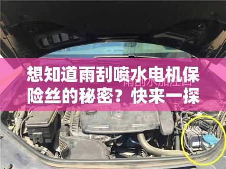 想知道雨刮喷水电机保险丝的秘密？快来一探究竟或者：雨刮喷水电机保险丝到底有何作用？全网热门解析又或者：雨刮喷水电机保险丝为何如此重要？深度解读等你来看