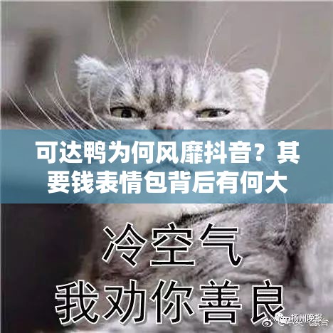 可达鸭为何风靡抖音？其要钱表情包背后有何大揭秘？