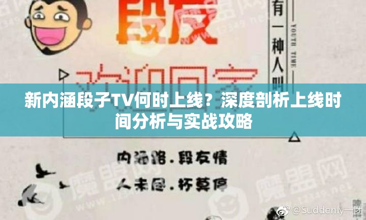 新内涵段子TV何时上线？深度剖析上线时间分析与实战攻略