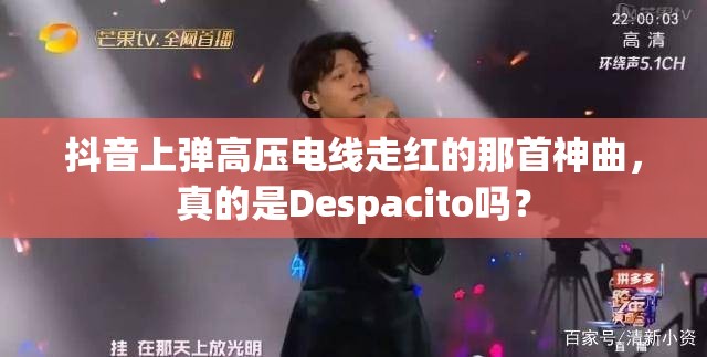 抖音上弹高压电线走红的那首神曲，真的是Despacito吗？