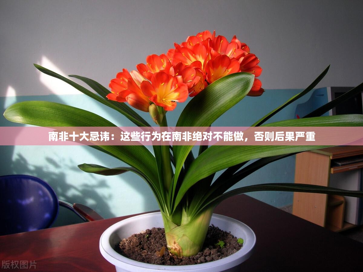 南非十大忌讳：这些行为在南非绝对不能做，否则后果严重