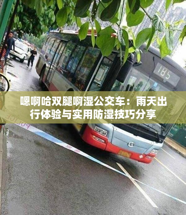 嗯啊哈双腿啊湿公交车：雨天出行体验与实用防湿技巧分享