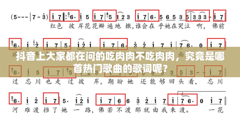 抖音上大家都在问的吃肉肉不吃肉肉，究竟是哪首热门歌曲的歌词呢？