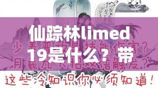 仙踪林limed19是什么？带你深入了解仙踪林limed19的神秘世界