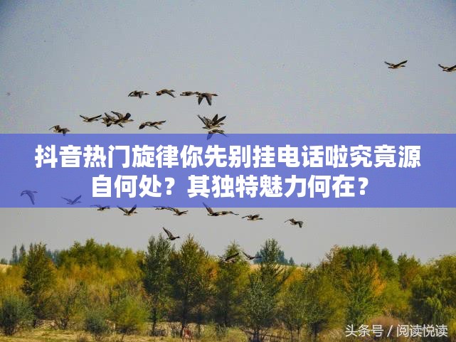 抖音热门旋律你先别挂电话啦究竟源自何处？其独特魅力何在？