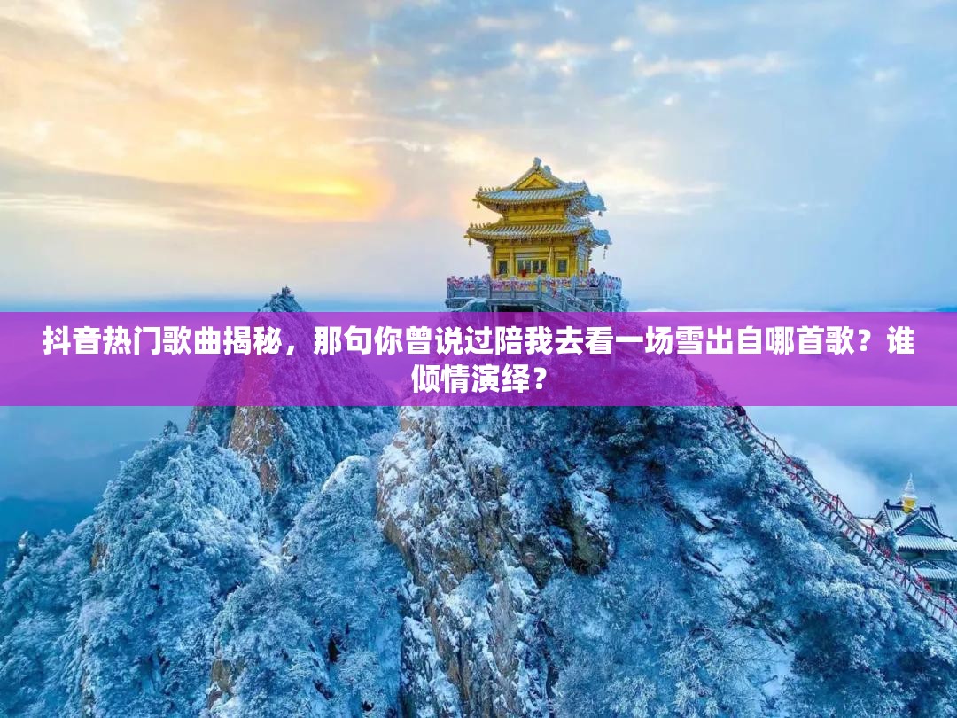 抖音热门歌曲揭秘，那句你曾说过陪我去看一场雪出自哪首歌？谁倾情演绎？