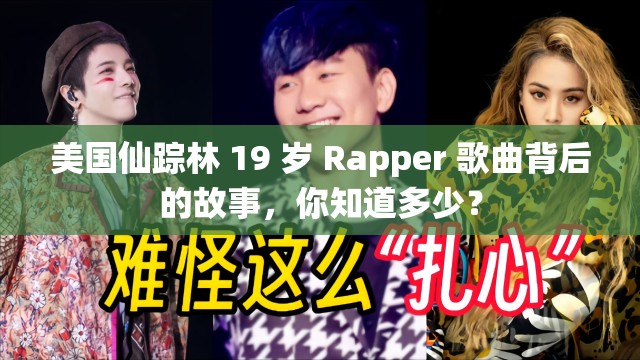 美国仙踪林 19 岁 Rapper 歌曲背后的故事，你知道多少？