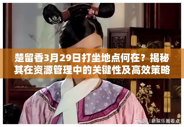 楚留香3月29日打坐地点何在？揭秘其在资源管理中的关键性及高效策略