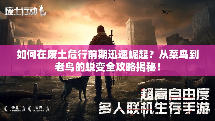 如何在废土危行前期迅速崛起？从菜鸟到老鸟的蜕变全攻略揭秘！