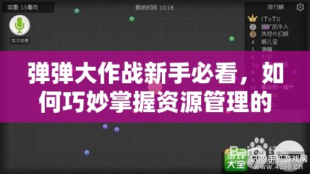 弹弹大作战新手必看，如何巧妙掌握资源管理的艺术之谜？