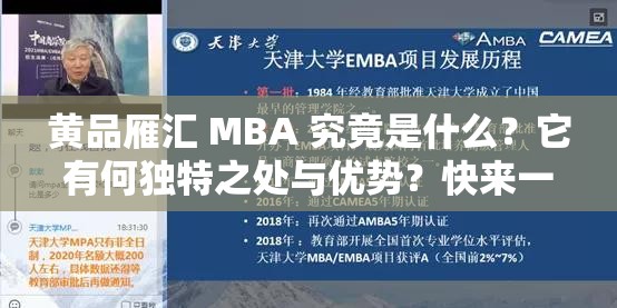 黄品雁汇 MBA 究竟是什么？它有何独特之处与优势？快来一探究竟