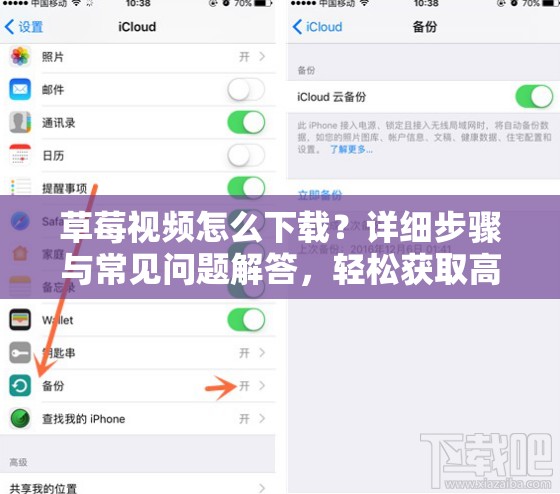草莓视频怎么下载？详细步骤与常见问题解答，轻松获取高清资源