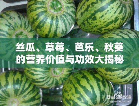 丝瓜、草莓、芭乐、秋葵的营养价值与功效大揭秘，你知道多少？