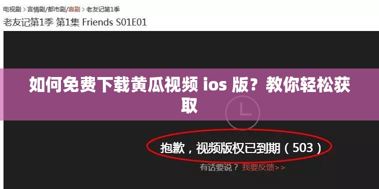 如何免费下载黄瓜视频 ios 版？教你轻松获取