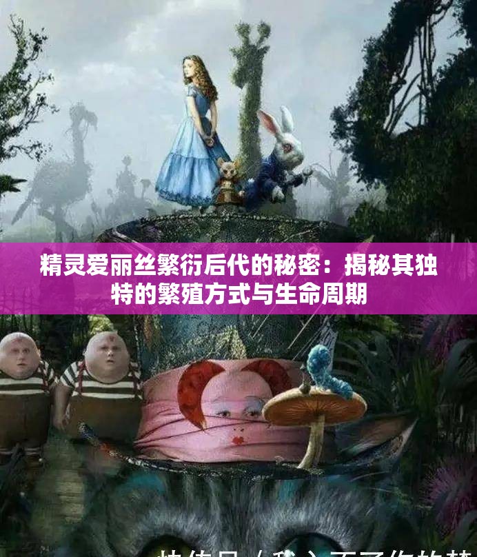 精灵爱丽丝繁衍后代的秘密：揭秘其独特的繁殖方式与生命周期