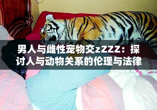 男人与雌性宠物交zZZZ：探讨人与动物关系的伦理与法律边界