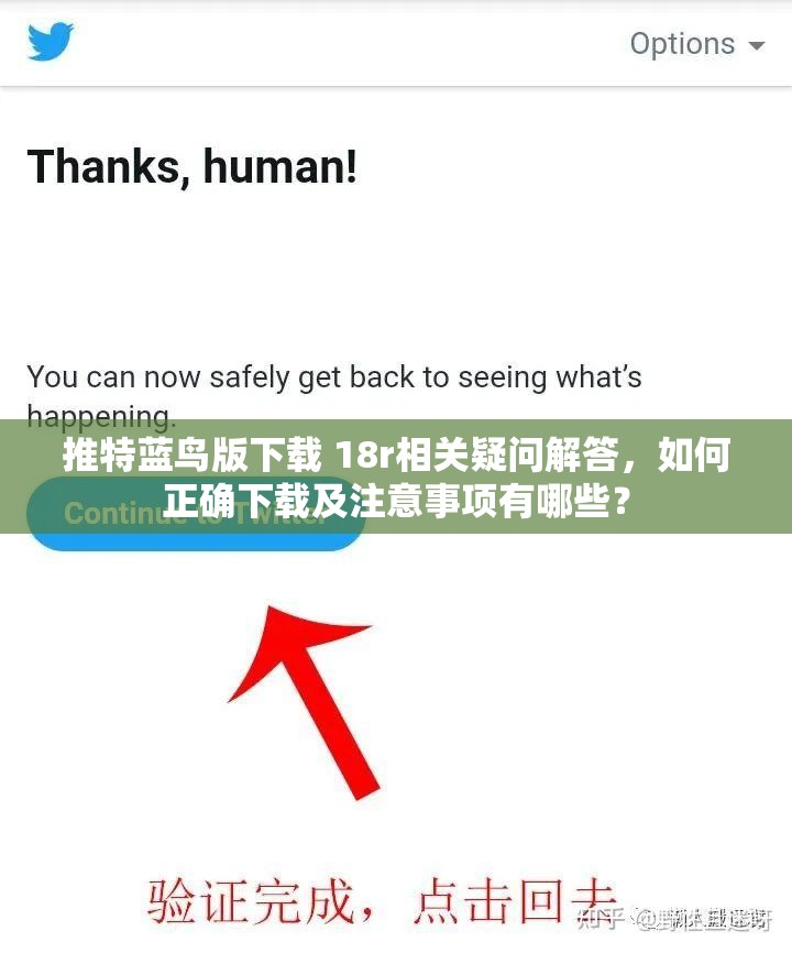 推特蓝鸟版下载 18r相关疑问解答，如何正确下载及注意事项有哪些？