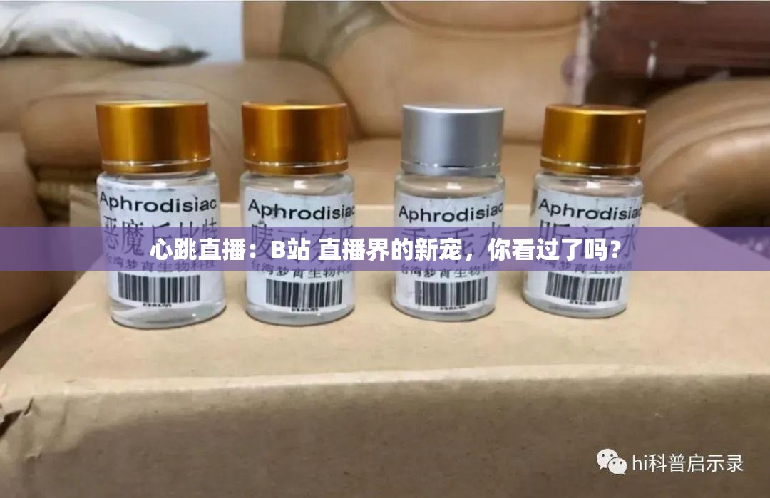 心跳直播：B站 直播界的新宠，你看过了吗？