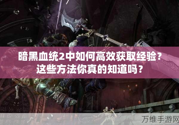 暗黑血统2中如何高效获取经验？这些方法你真的知道吗？