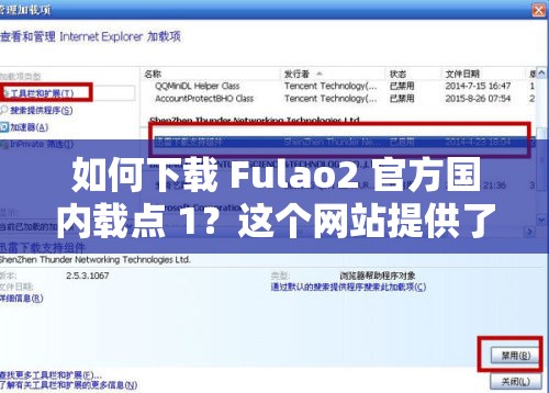 如何下载 Fulao2 官方国内载点 1？这个网站提供了丰富的资源吗？