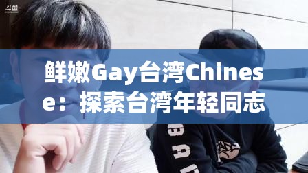 鲜嫩Gay台湾Chinese：探索台湾年轻同志文化的独特魅力与多元表达