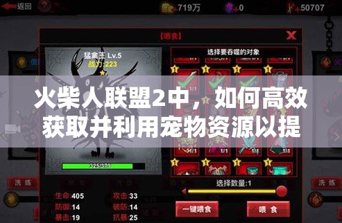 火柴人联盟2中，如何高效获取并利用宠物资源以提升战力？