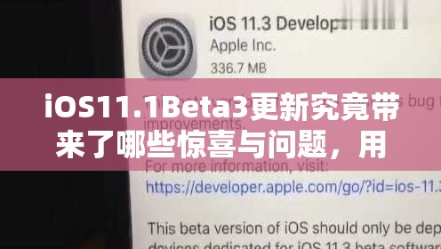 iOS11.1Beta3更新究竟带来了哪些惊喜与问题，用户体验如何？