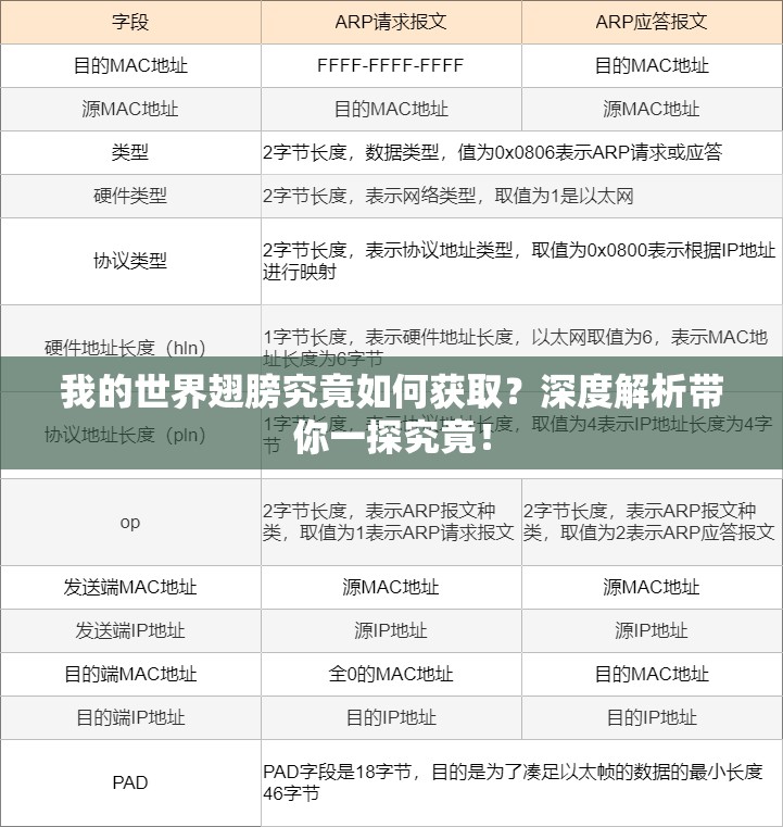 我的世界翅膀究竟如何获取？深度解析带你一探究竟！