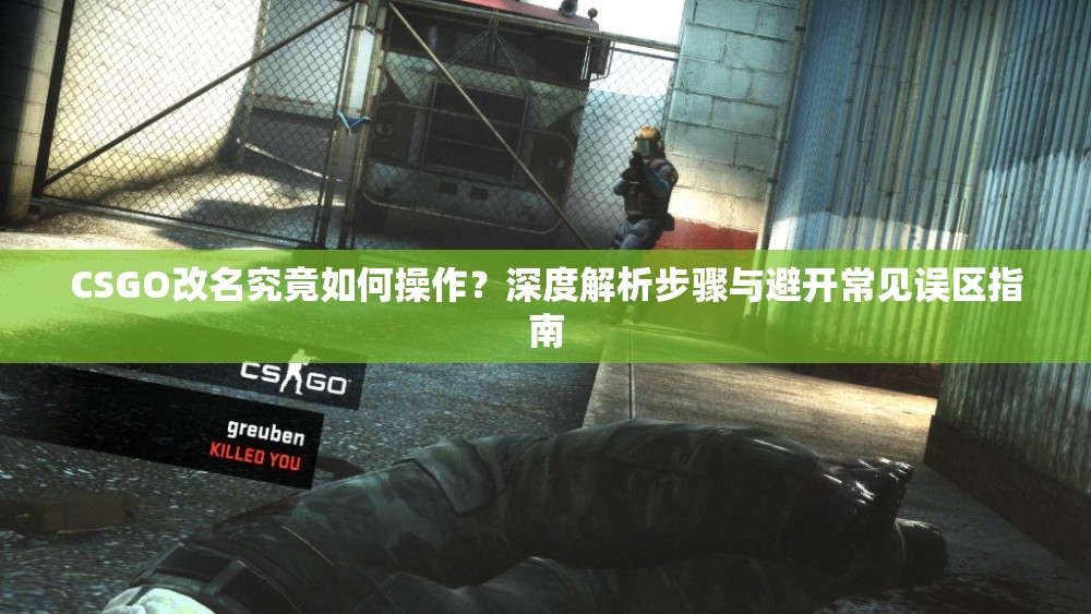 CSGO改名究竟如何操作？深度解析步骤与避开常见误区指南