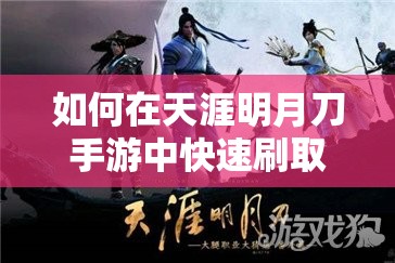 如何在天涯明月刀手游中快速刷取帮贡？全攻略揭秘！