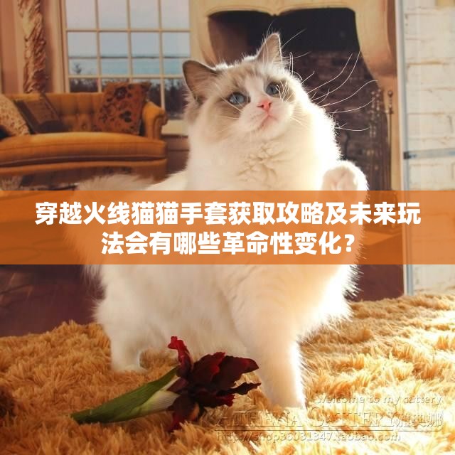 穿越火线猫猫手套获取攻略及未来玩法会有哪些革命性变化？