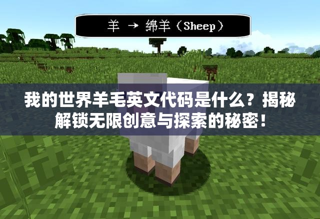 我的世界羊毛英文代码是什么？揭秘解锁无限创意与探索的秘密！